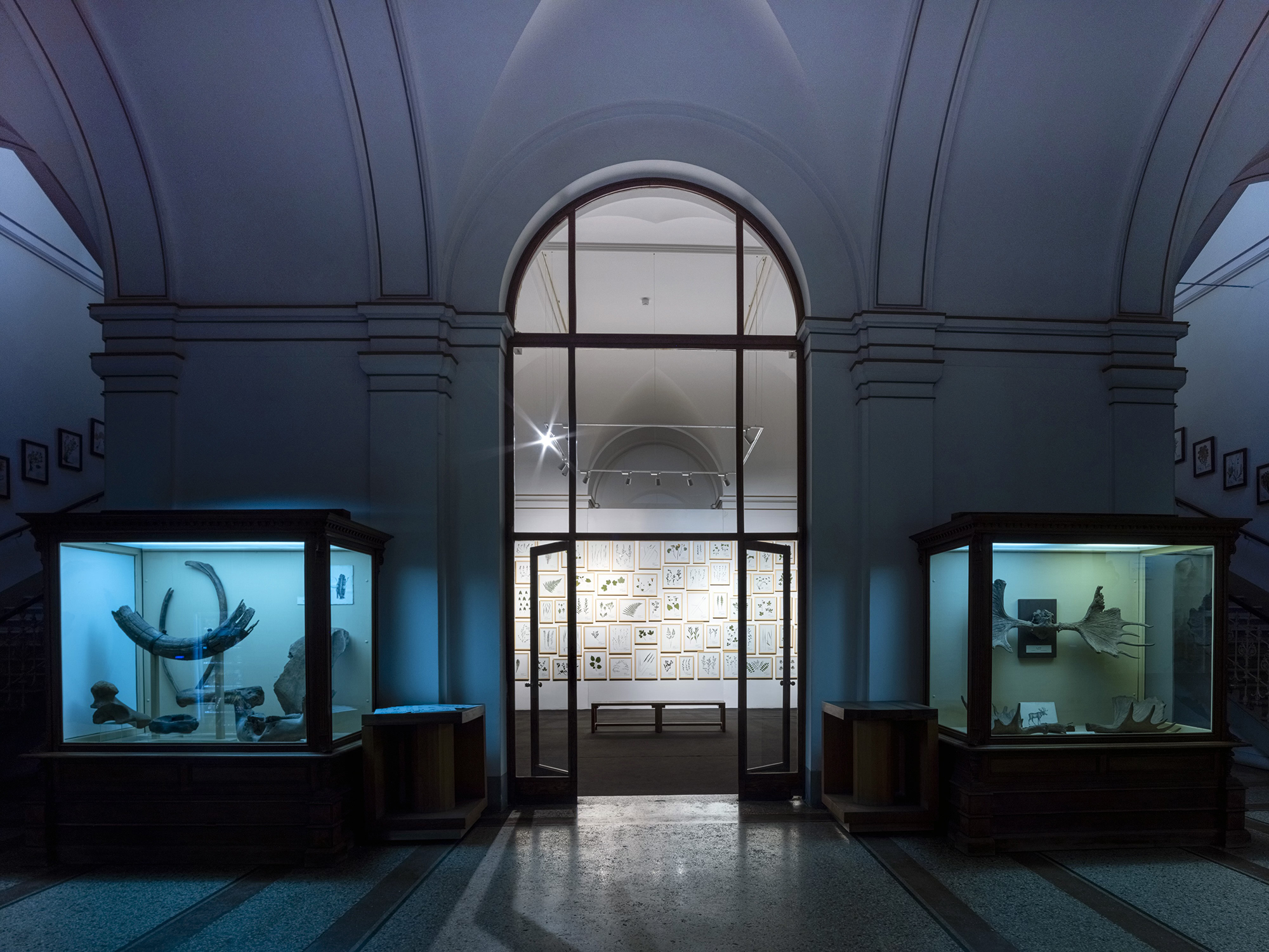 Installation view from the solo exhibition Herbarium, 2022, National Museum of Bosnia and Herzegovina, Sarajevo (BiH). Photo: Ziyah Gafic