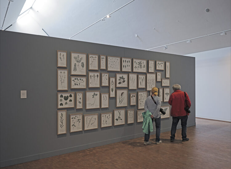 Installation View From Exhibition Works From The Collection, 2019, Sorø Art Museum, Sorø (DK). Photo: Ismar Cirkinagic