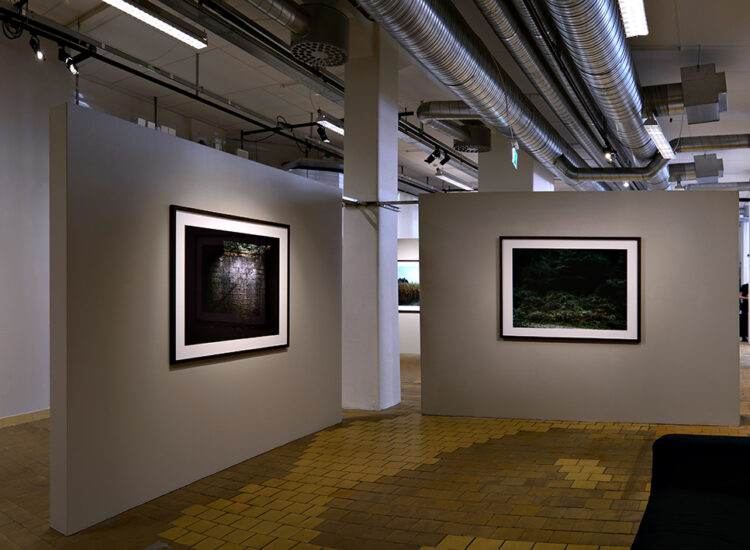 Installation View From The Solo Exhibition Negatives Beyond The Green, 2014, Galleri Format, Malmö (SE).