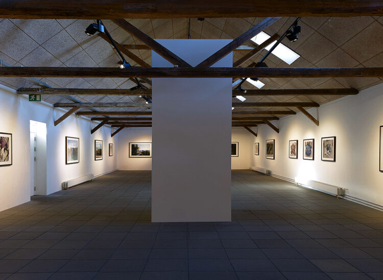 Installation View From The Solo Exhibition Negatives Beyond The Green, Kunstpakhuset, 2015, Ikast (DK).