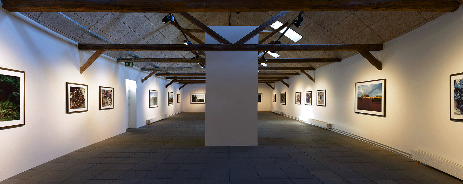 Installation view from the solo exhibition Negatives Beyond the Green, Kunstpakhuset, 2015, Ikast (DK).
