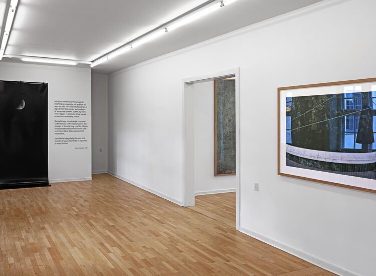 Installation View From The Solo Exhibition With Matter ThroughTime, 2020, Viborg Kunsthal, Viborg (DK)